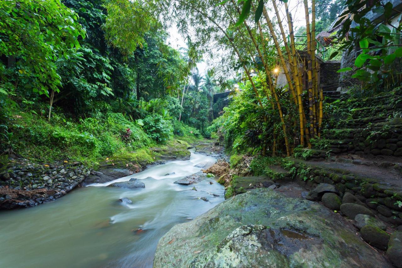 Ani's Ubud